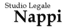 nappilogo